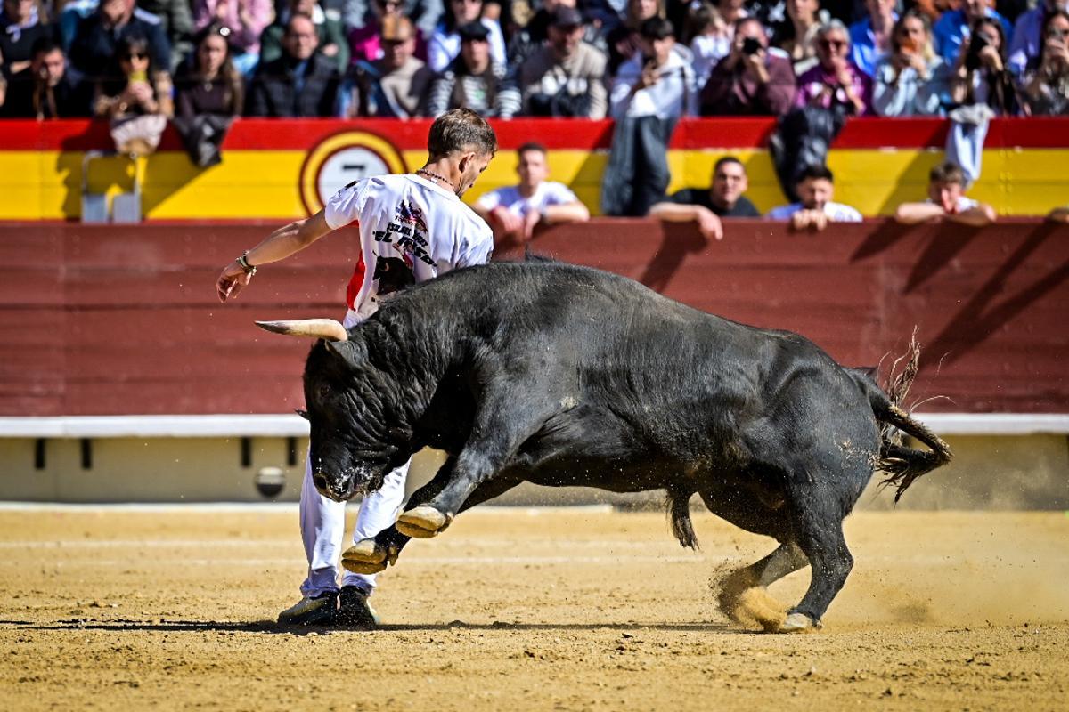 Concurso recortadores