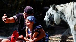 El ‘postureig’ es dispara a l’estiu: així són les vacances a Instagram