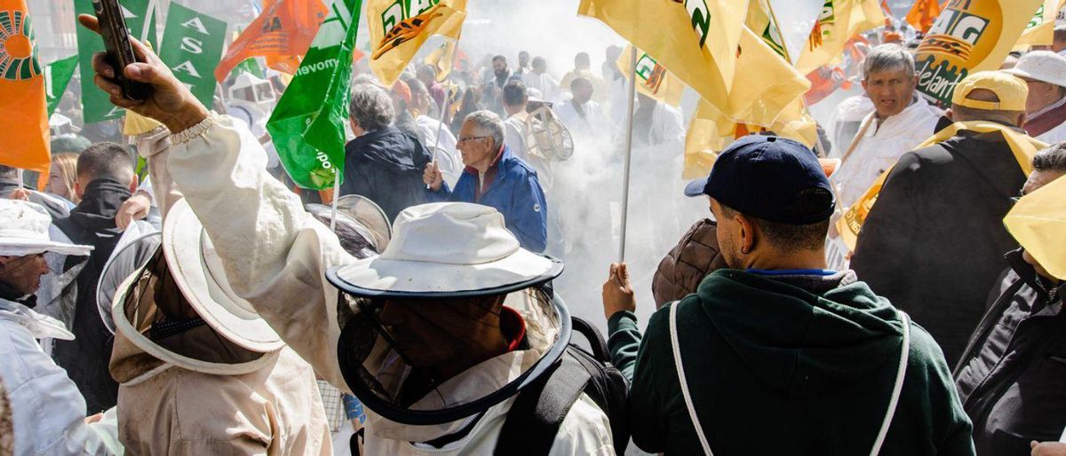 Arriba, manifestantes con traje de apicultor lanzan humo en medio de la manifestación. Abajo, dos apicultores de COAG se cubren de miel. | EFE