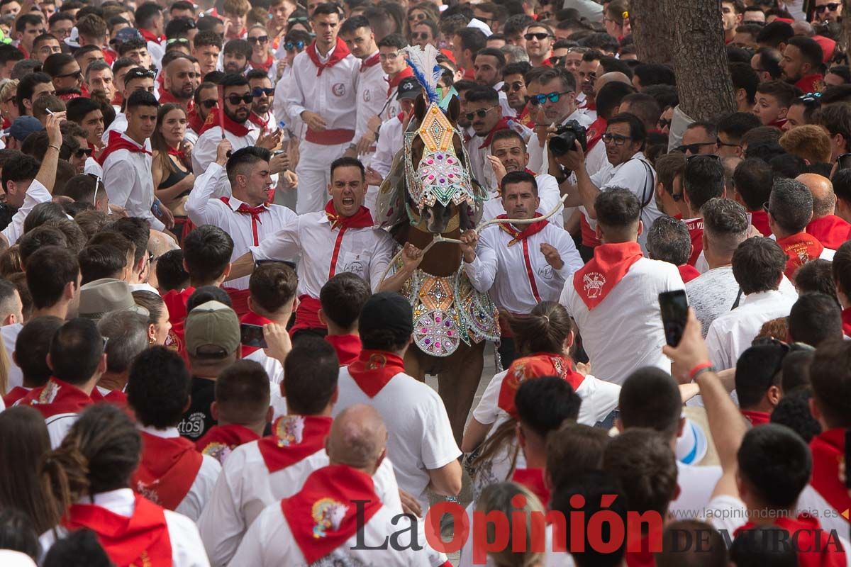 Así ha sido la carrera de los Caballos del Vino en Caravaca