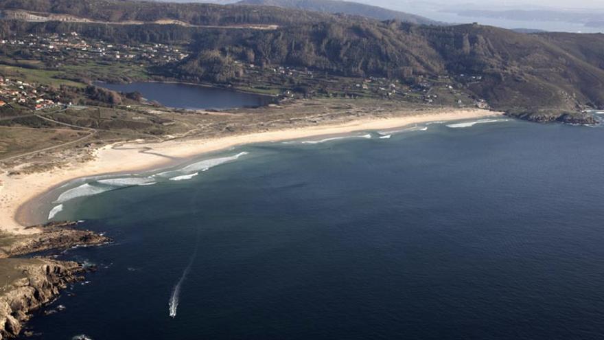 Aparece varada una cría de tiburón peregrino de seis metros en una playa en Ferrol