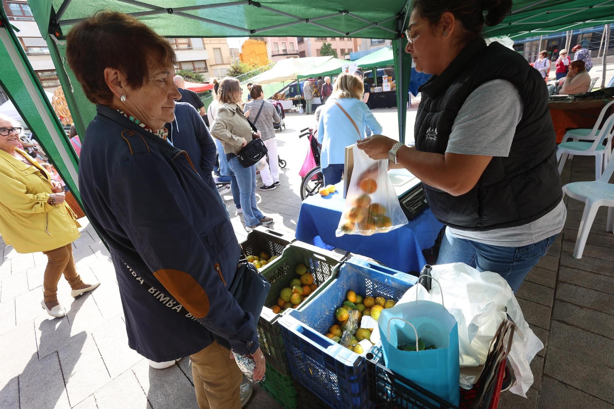 La segunda edición de la Feria Agroecológica de Vila-real, en imágenes