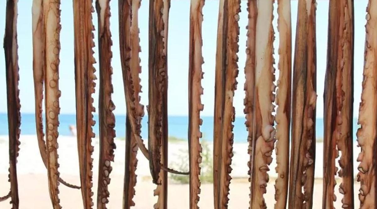 El pulpo puesto a secar en esta playa de l'Almadrava de Dénia