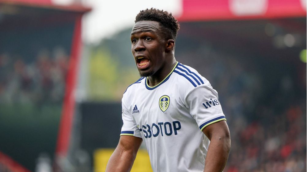 Wilfried Gnonto - Italia