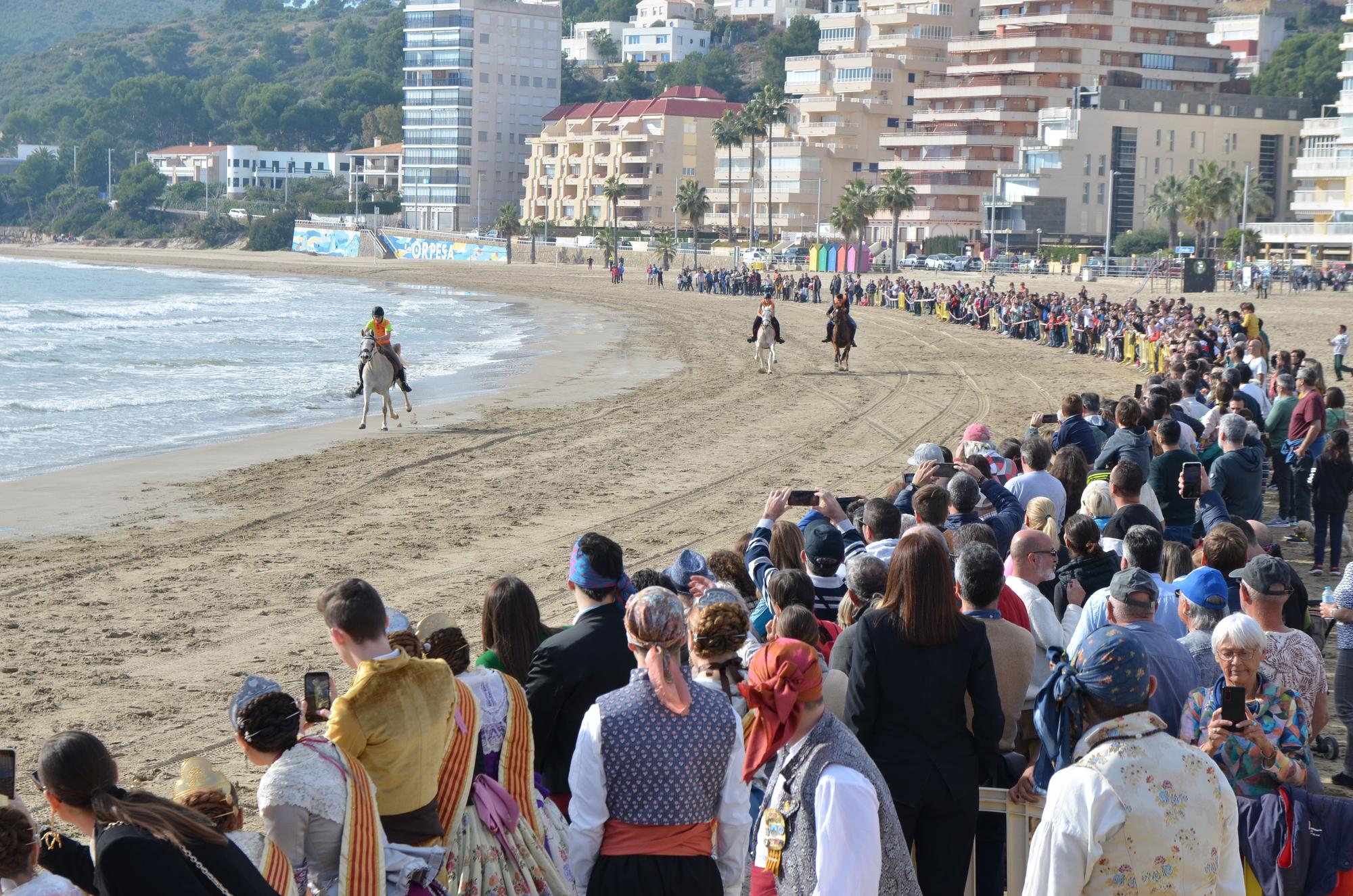 Las imágenes más vistosas de la carrera de caballos y burros de Orpesa