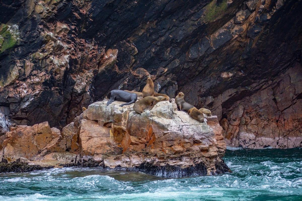 Perú, Naturaleza