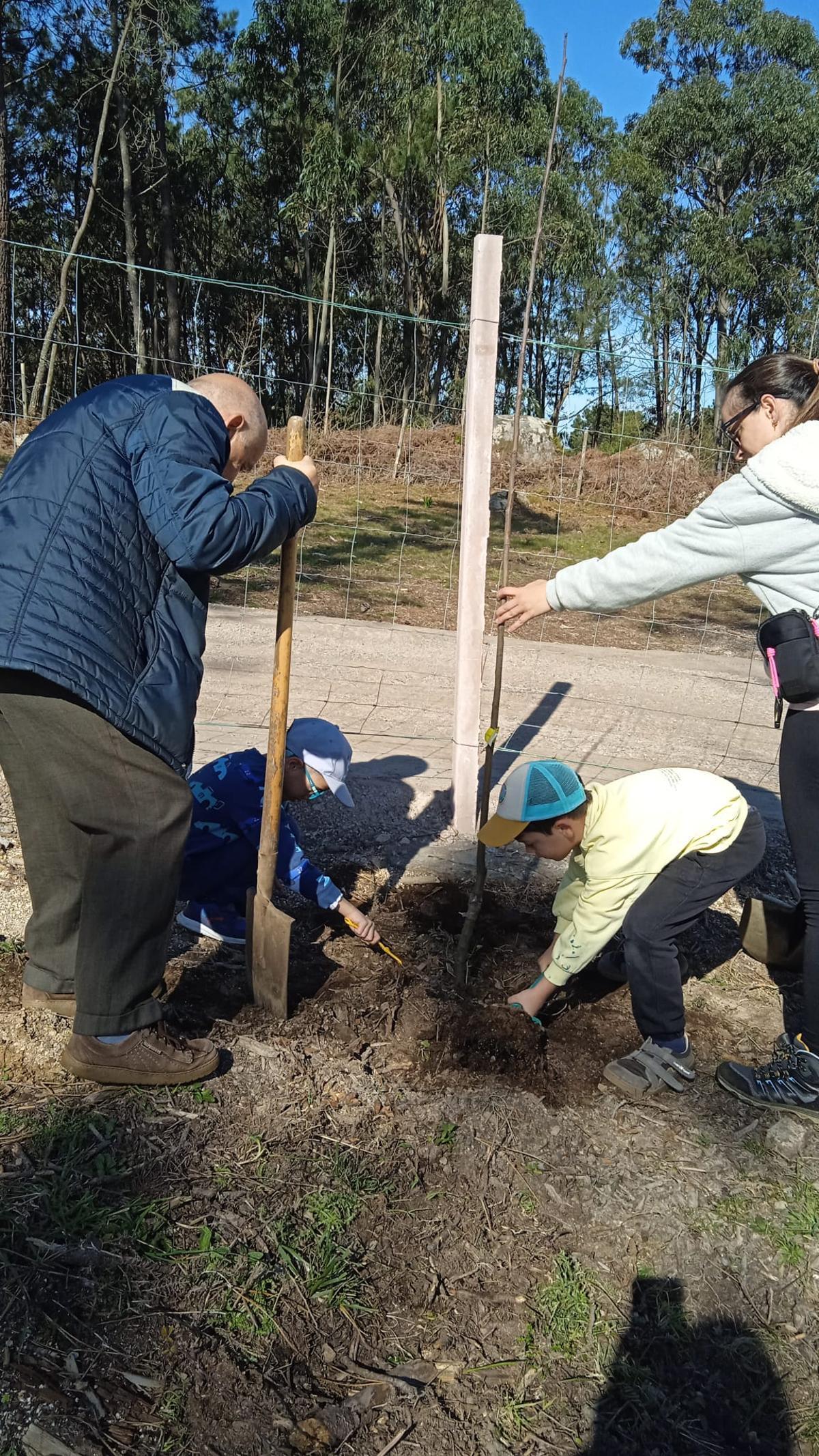 La simbólica plantación de un árbol, ayer.