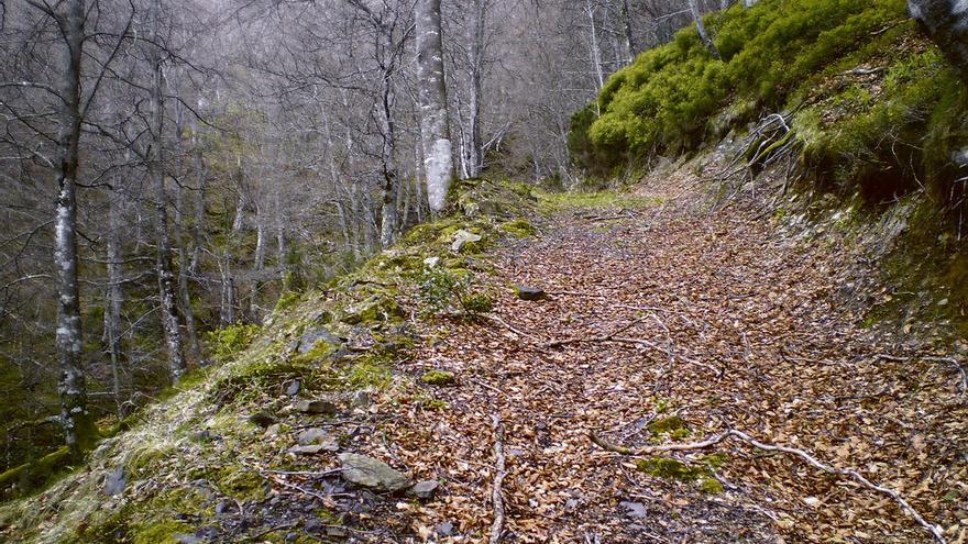 Acceso a mina Julita, en el monte Mofosu.