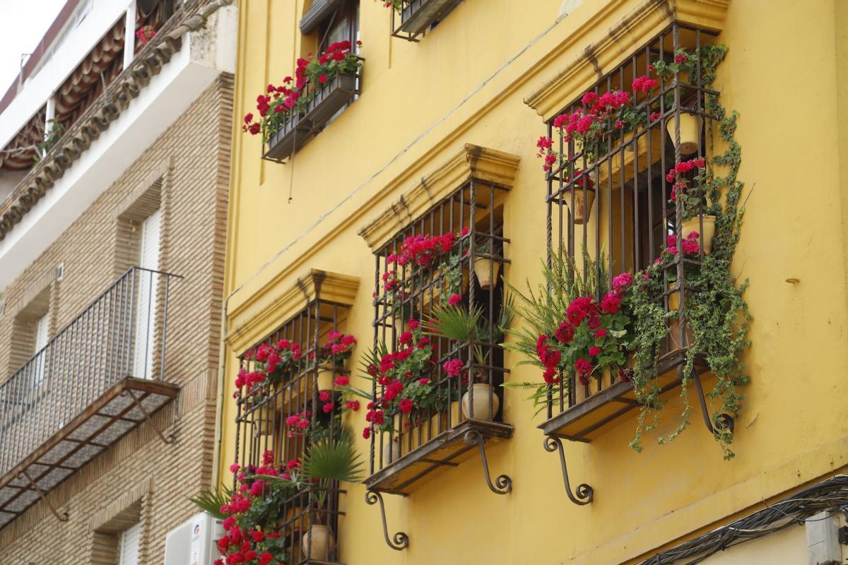 Plaza de Colón 21 (calle Adarve), galardonada con el cuarto premio. Fernán Pérez de Oliva 7 se llevó el tercer premio. Una vista de Cidros 4, segundo premio del certamen. Tafures 4, primer premio del concurso de este año. Córdoba Concurso de rejas y balcones 2025 Plaza de Colón 21