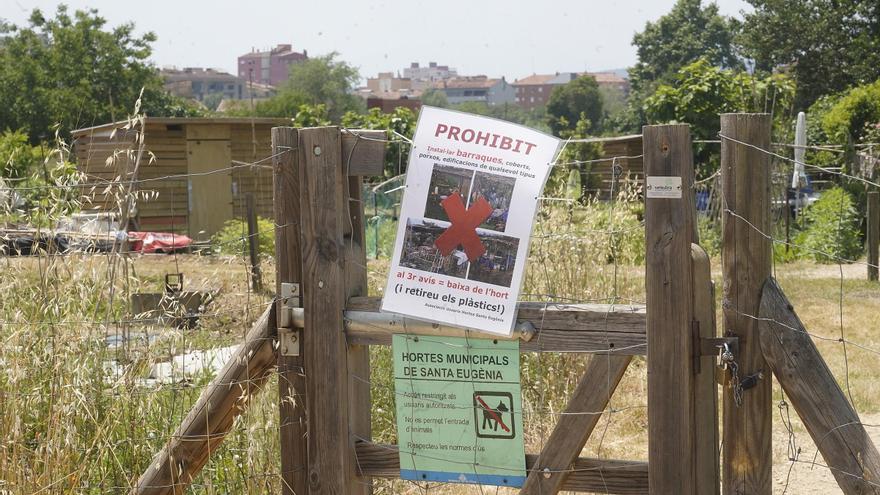Retiraran l’hort de lloguer de Santa Eugènia a qui hi faci construccions