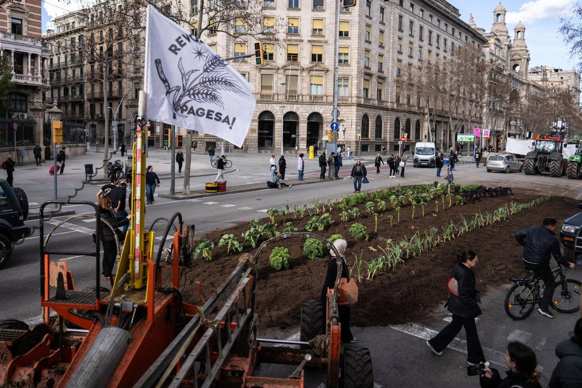 Tractorada en el centro de Barcelona, este viernes.