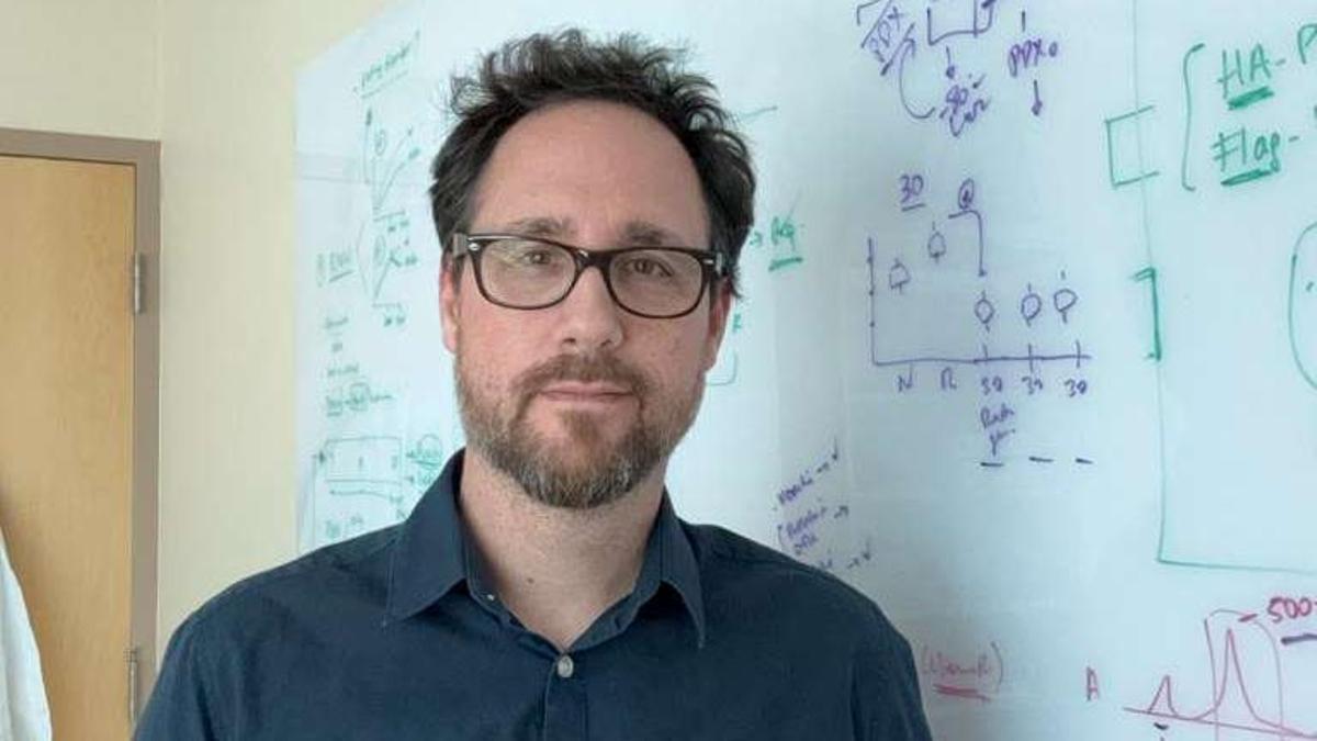 EEUU concede 5,5 millones al biólogo mallorquín Lluís Morey para investigar el cáncer de mama: "Recibir este respaldo tiene un valor especial"