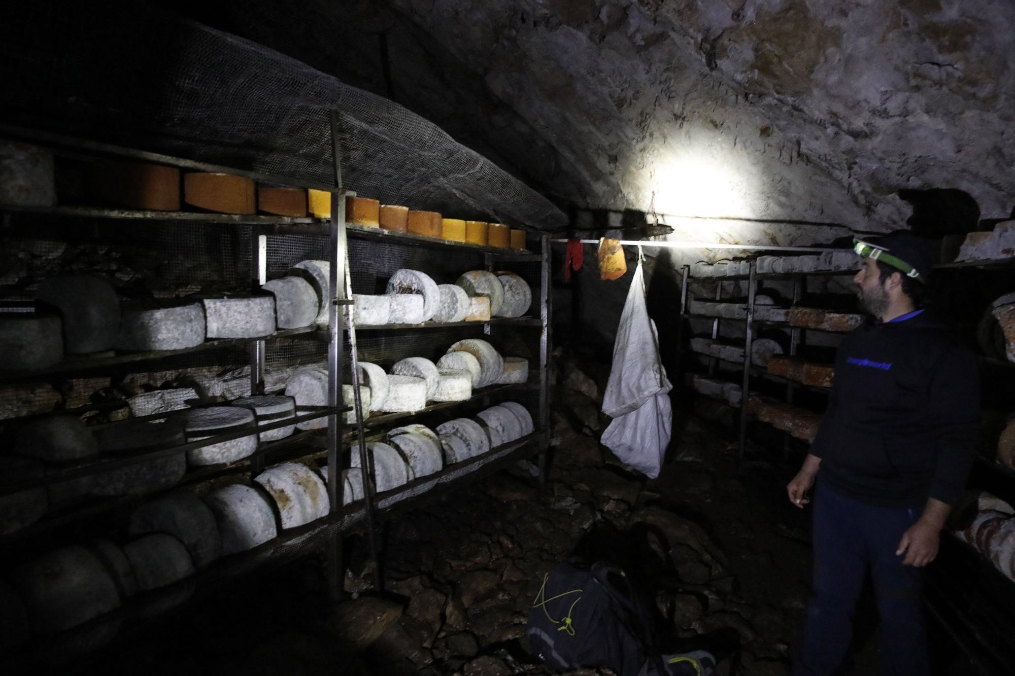 Así se elabora el gamonéu del Puertu: de la cueva a la mesa.