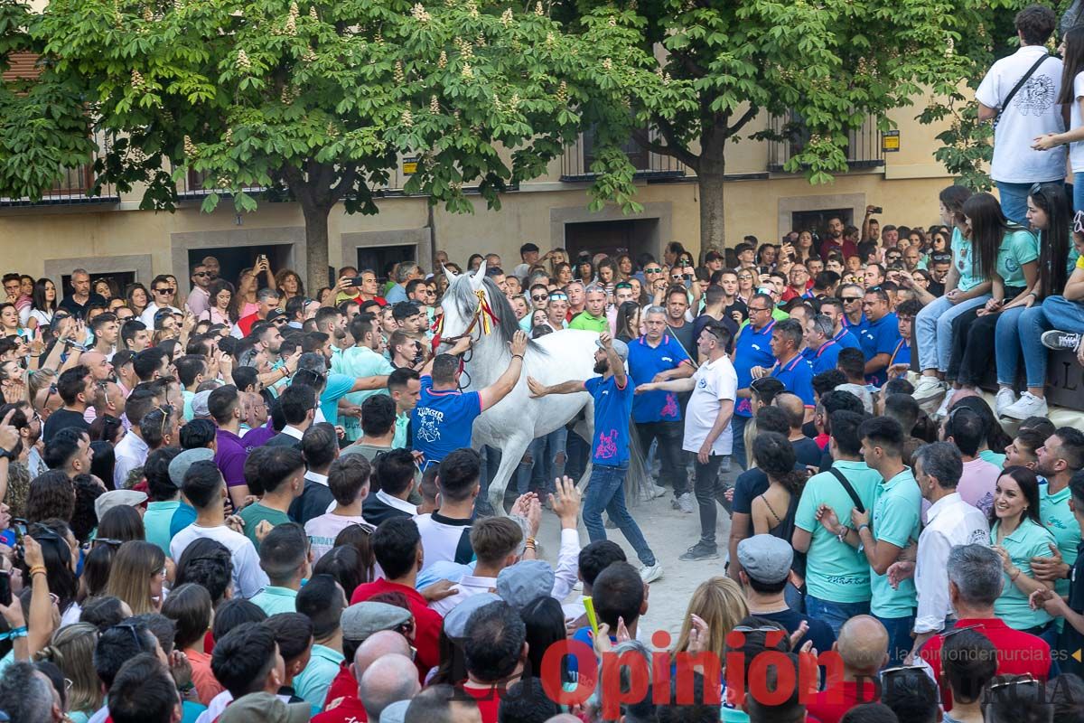 Entrega de premios del concurso morfológico de los Caballos del Vino de Caravaca