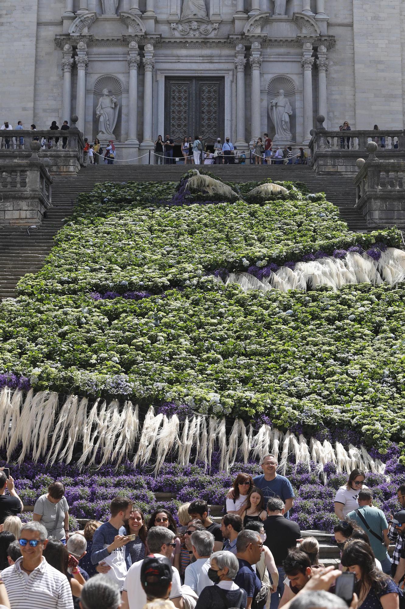 Girona es torna a omplir de color i riuades de gent en el retorn a la normalitat de Temps de Flors