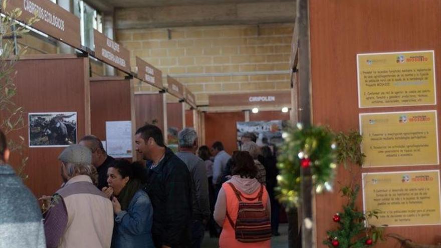 ‘MosaiCultura’ pone en valor a Las Hurdes y Sierra de Gata