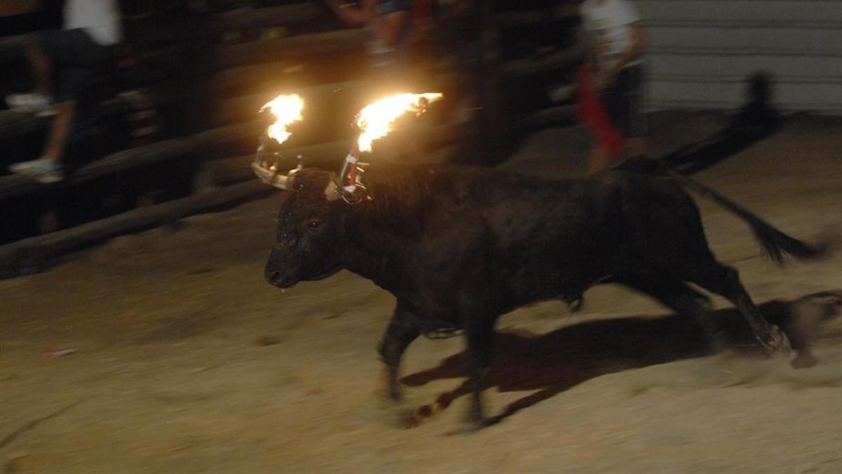 Un toro embolado en una imagen de archivo.