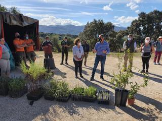 Trece ayuntamientos ofrecen a la Diputación de Málaga terrenos para reforestar