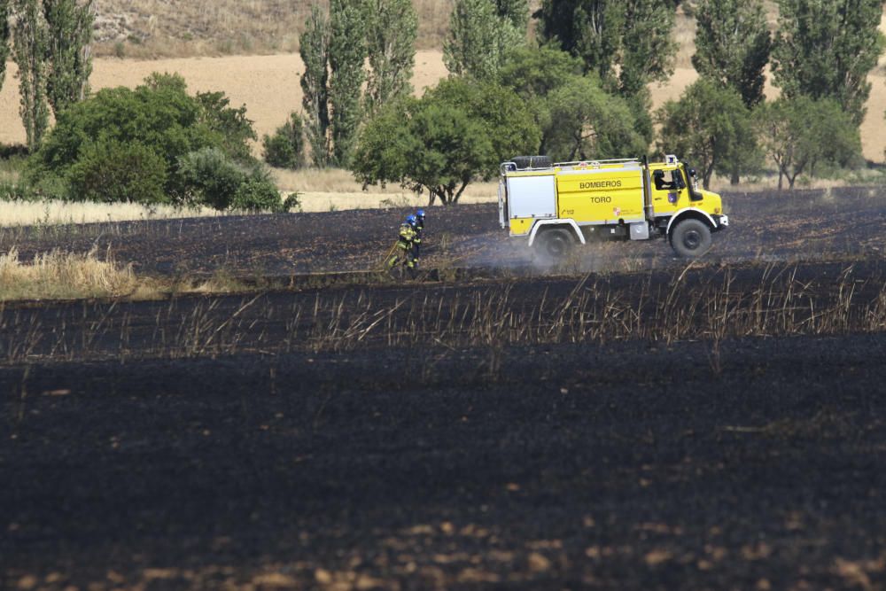 Incendio de una nave ganadera en Sanzoles