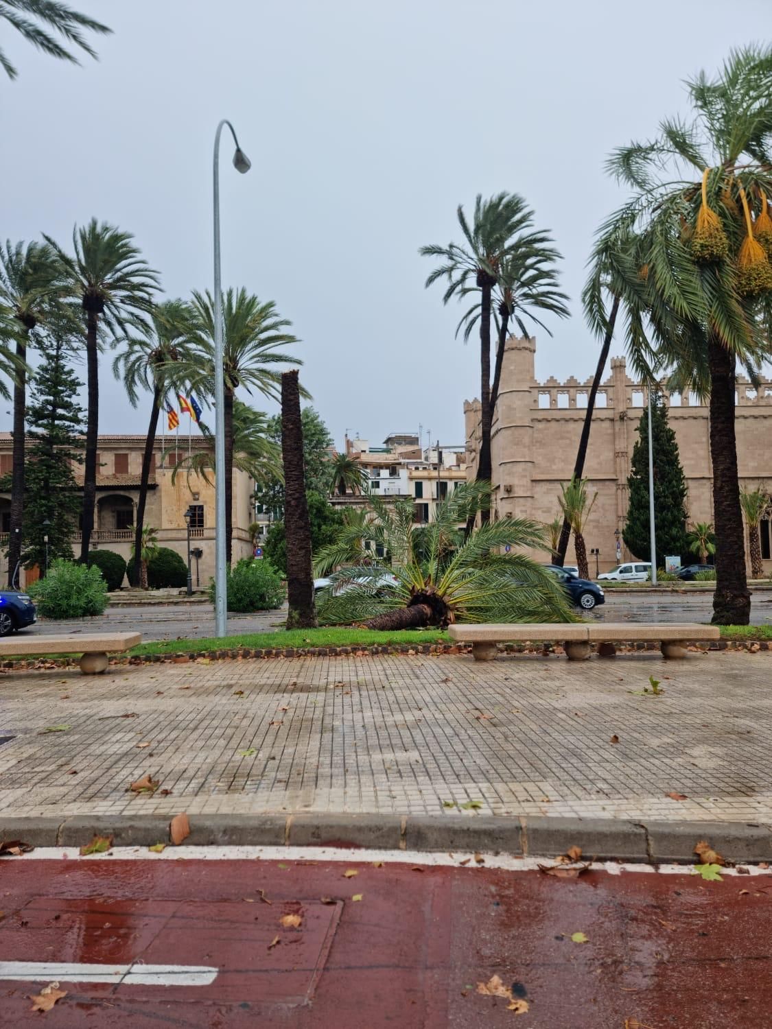 Diese Schäden hat das Unwetter auf Mallorca hinterlassen