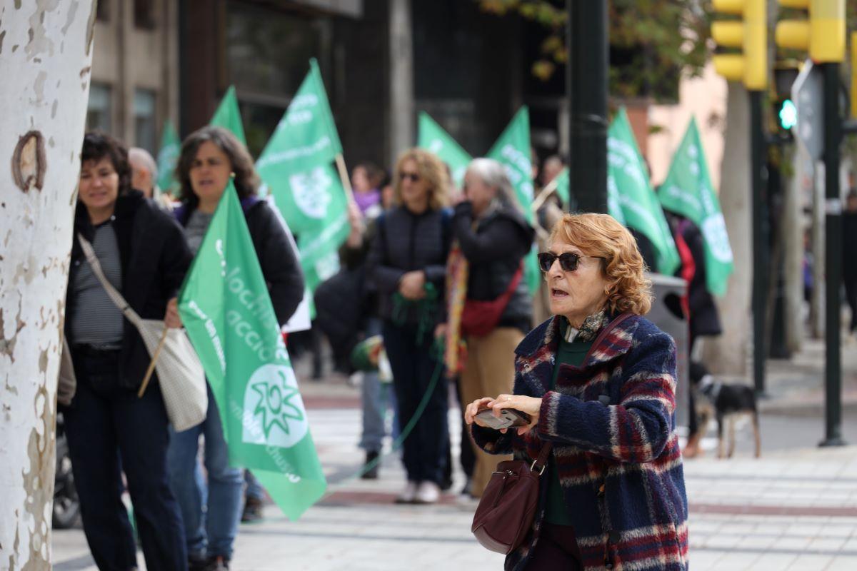 Cadena humana en Zaragoza en defensa de Canal Roya - El Periódico de Aragón
