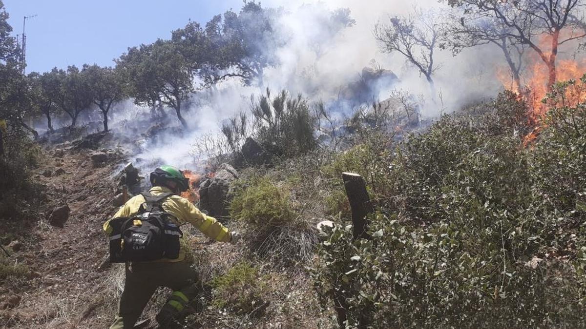 Bomberos del Infoca trabajan en la extinción del incendio forestal declarado el viernes 15 de julio en la Sierra de Mijas y que se ha dado por estabilizado el domingo.