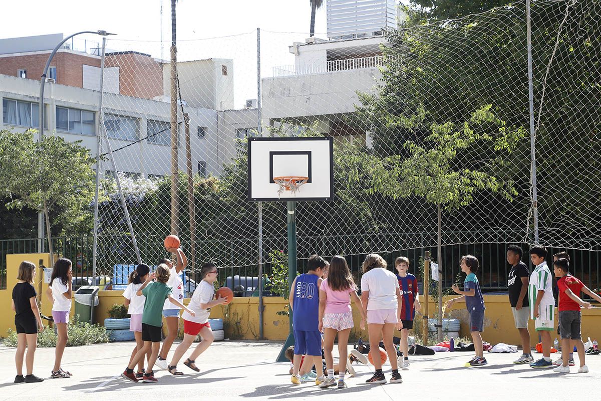 Escuelas de verano de Córdoba 2024