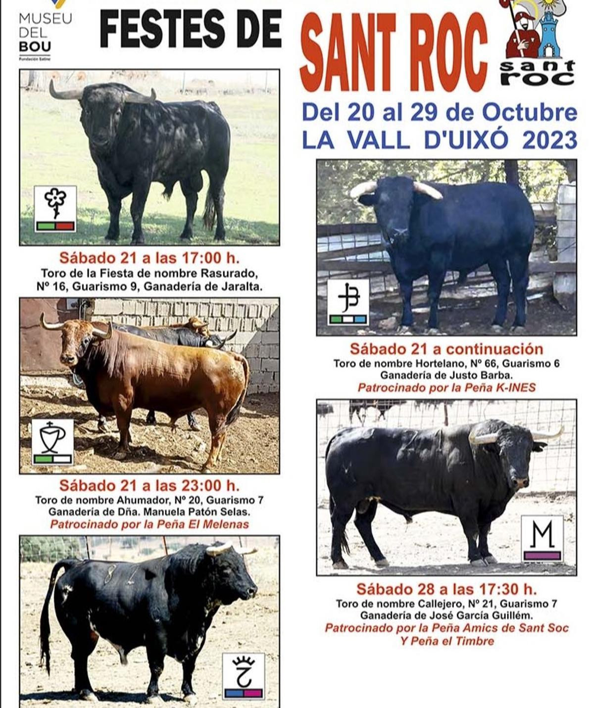 Toros que exhibirán en las fiestas de Sant Roc de la Vall.