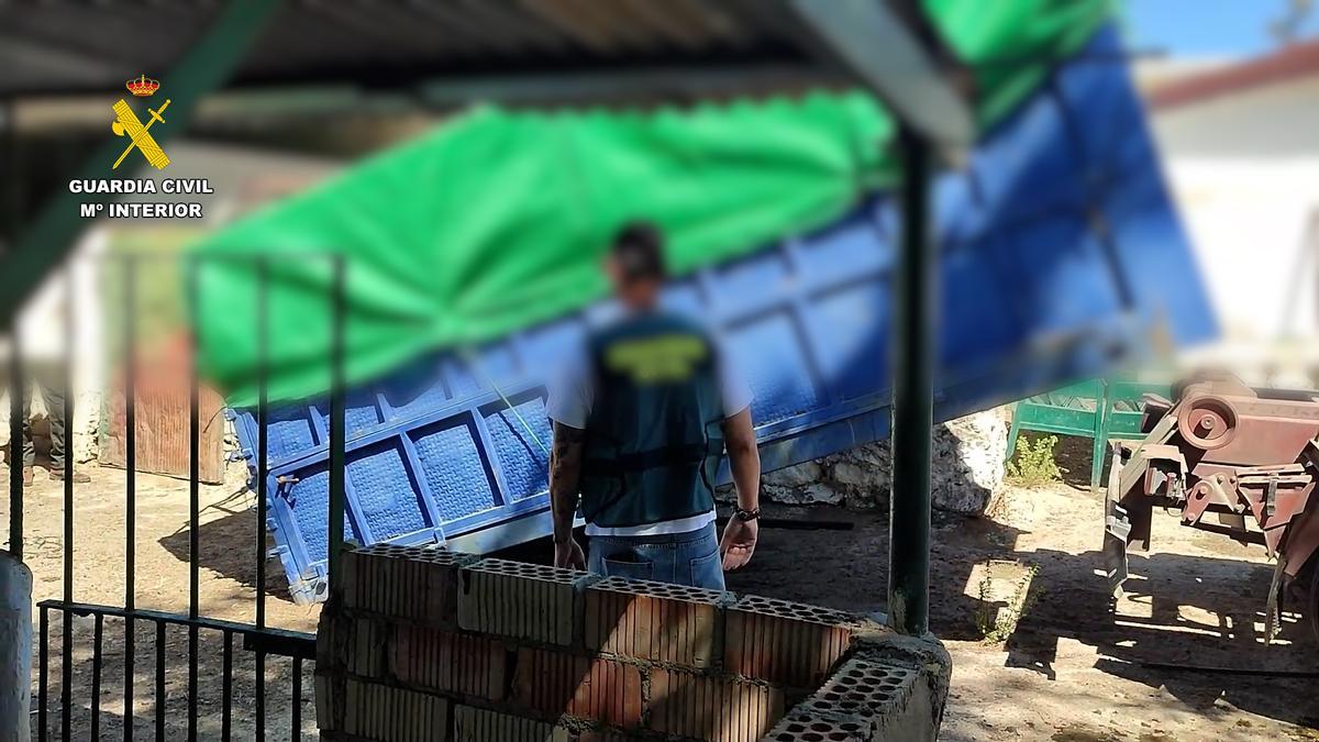 Investigación en una finca de El Ronquillo por apropiación de ganado