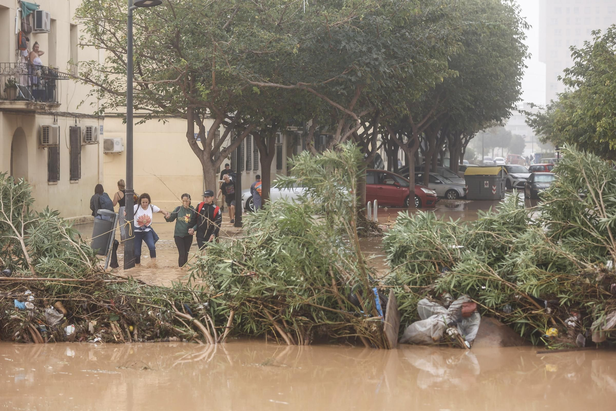 Un árbol en una cruza una calle tras el paso de la DANA por el barrio de La Torre de Valencia, a 30 de octubre de 2024, en Valencia, Comunidad Valenciana (España). La Comunitat Valenciana ha registrado la gota fría "más adversa" del siglo en la región. La Generalitat ha activado el procedimiento de múltiples víctimas por "prevención de lo que pueda venir", después de que el primer balance apunte a 51 víctimas mortales como consecuencia del temporal. En estos momentos, todavía hay personas esperando a ser rescatadas y puntos sin cobertura de telefonía y sin luz. 30 OCTUBRE 2024;DANA Rober Solsona / Europa Press 30/10/2024. Rober Solsona;category_code_new;