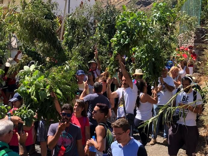 La Rama inunda El Valle de Agaete