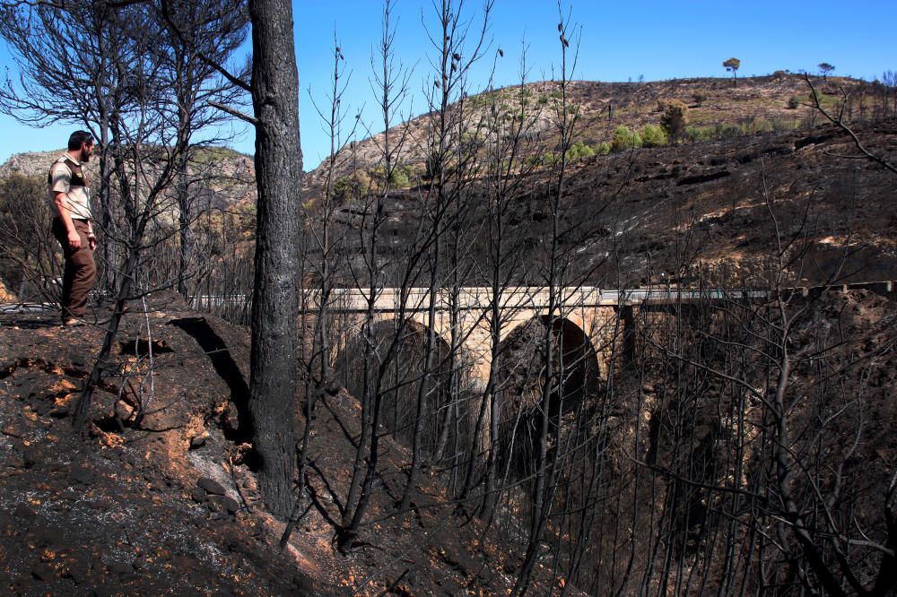 El desolador paisaje de la Calderona tras el incendio