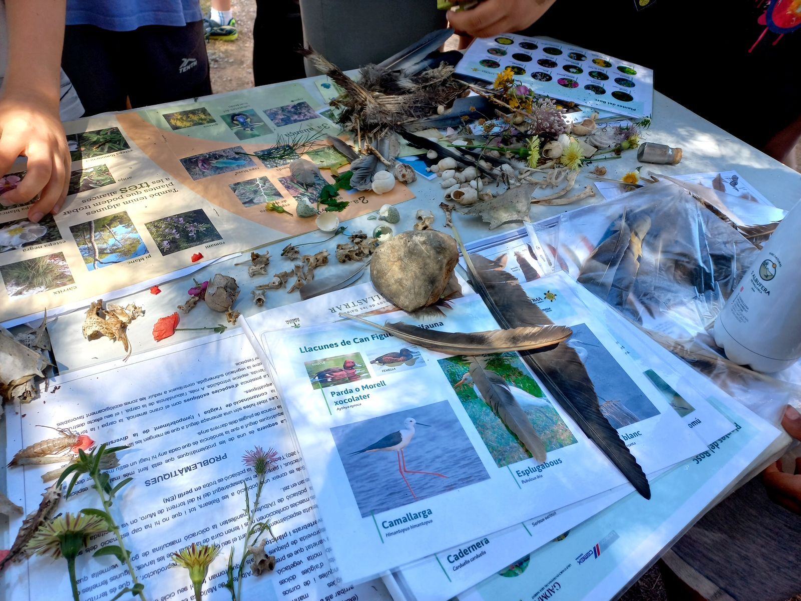 Los 20 años de educación ambiental, en imágenes