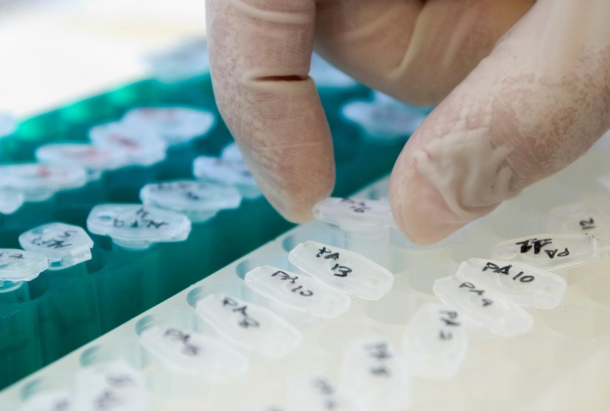 La pyme no necesitan tanto el Big Data como la gran empresa.