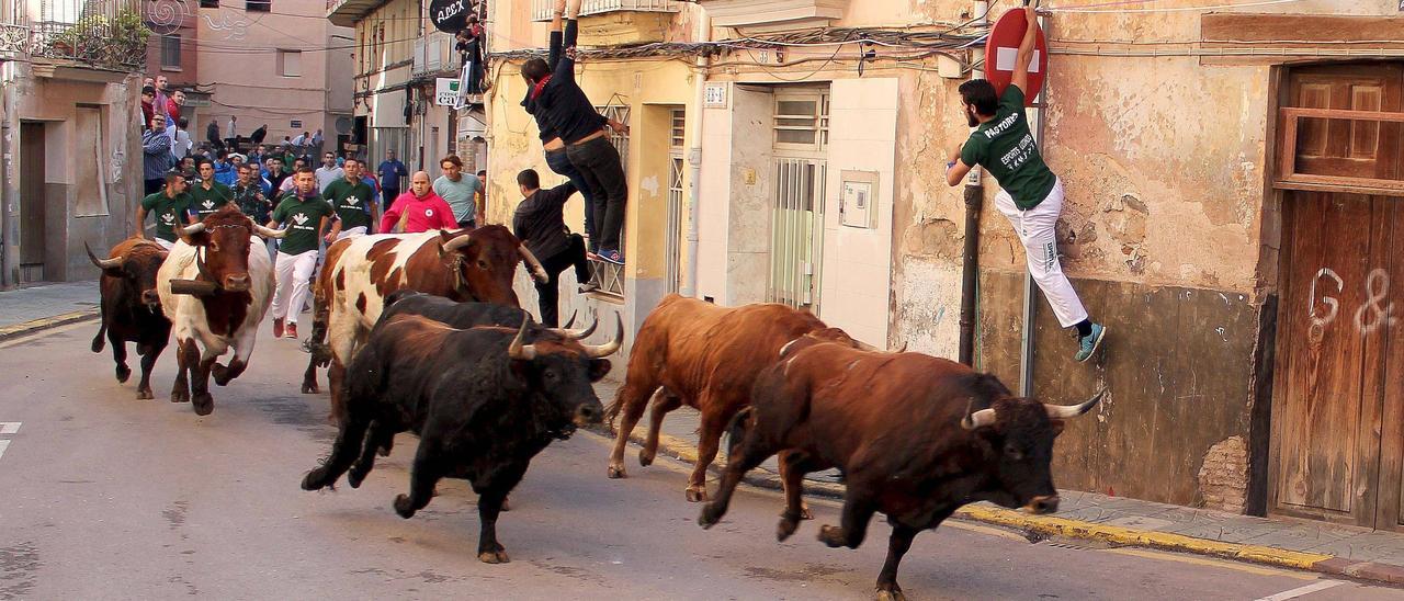 Los aficionados a los toros disfrutarán de otro encierro en la Fira d&#039;Onda