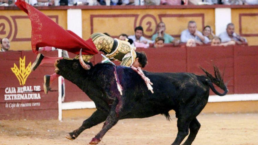 El diestro Roca Rey sufrió ayer una cornada en Badajoz