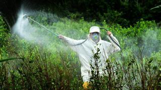 La Eurocámara defiende reducir el uso de todos los pesticidas químicos en al menos un 50% en 2030