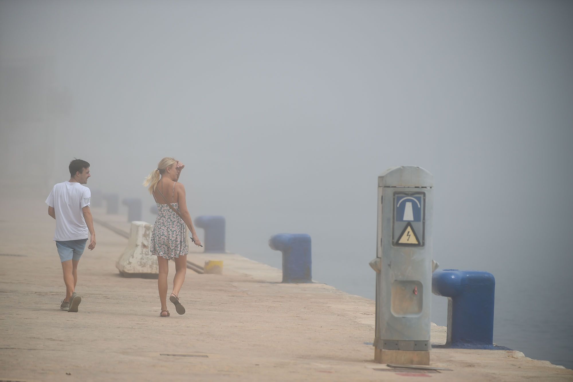 El taró cubre el litoral de Málaga