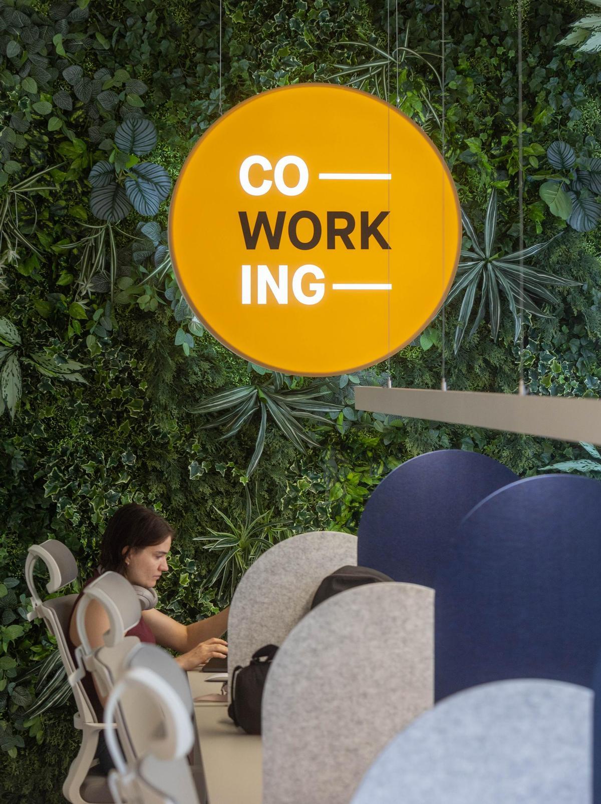 Así es Total Rent: El alquiler seguro y garantizado para propietarios ya está en Alicante