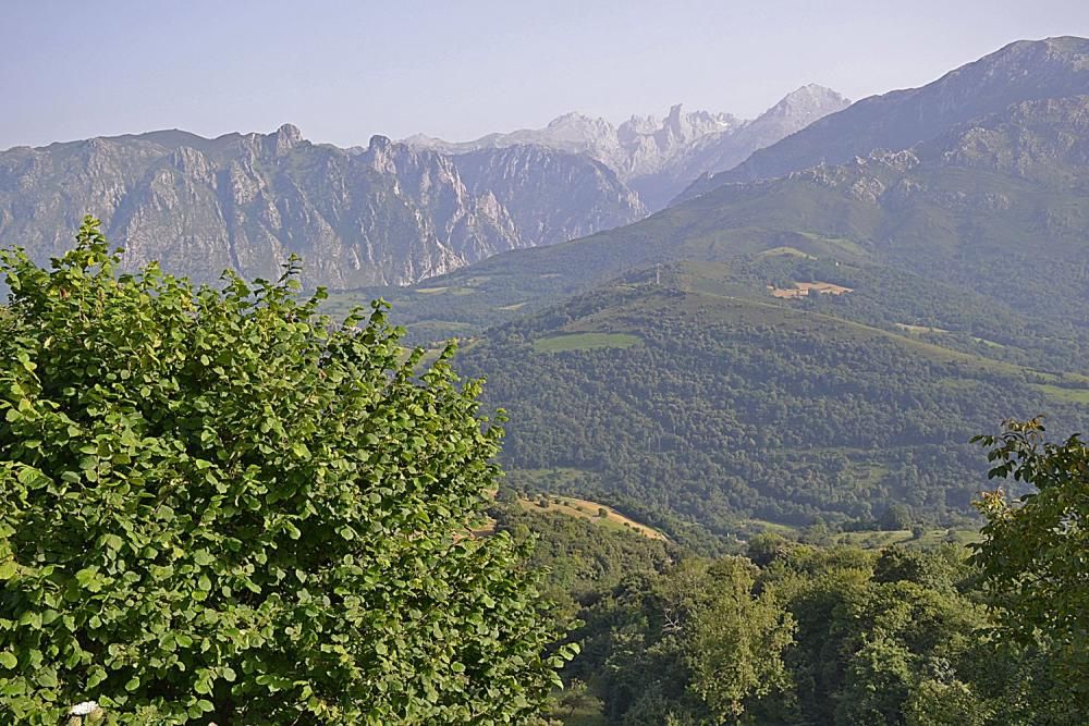 Asiegu (Cabrales), nuevo premio Pueblo Ejemplar de