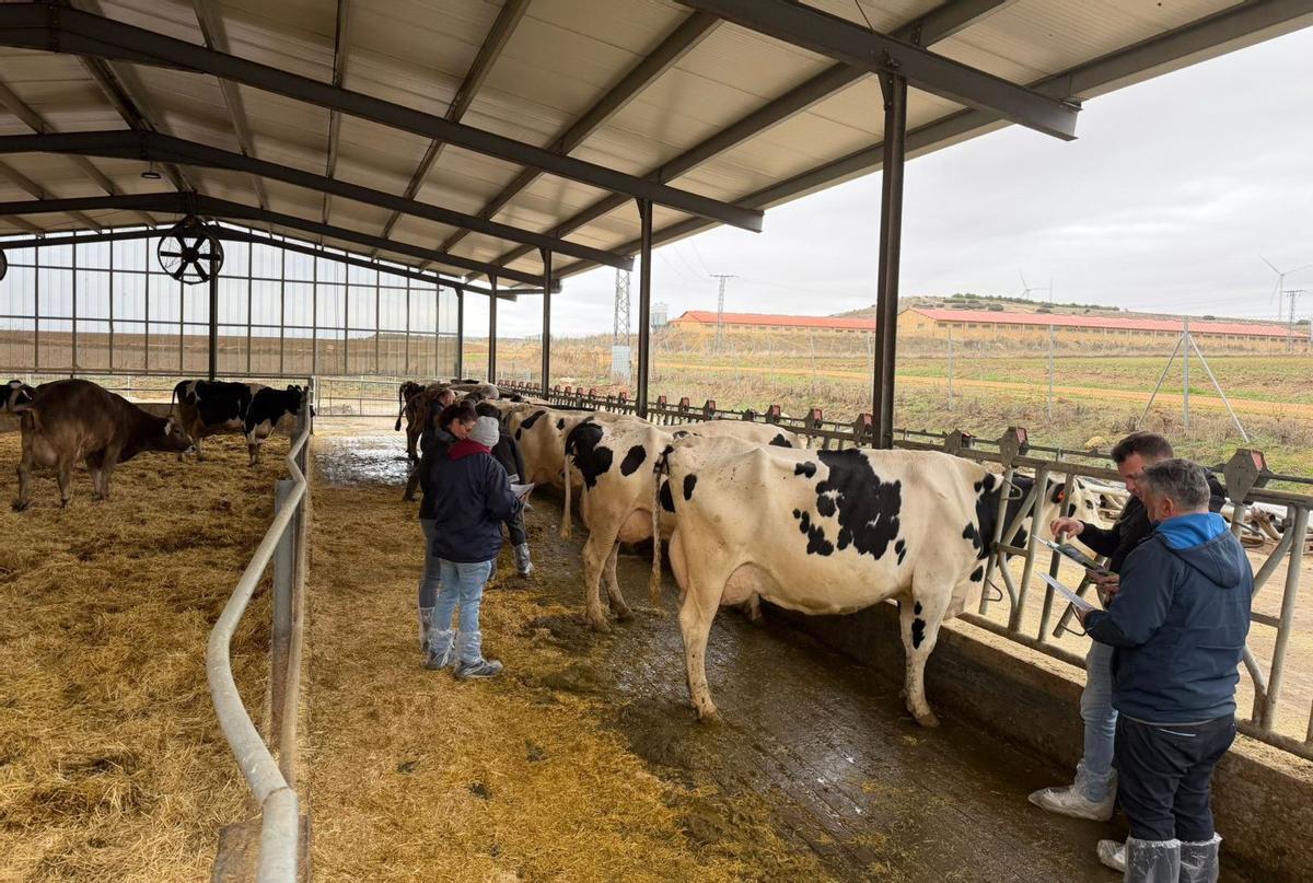 El desafío de crear una buena granja