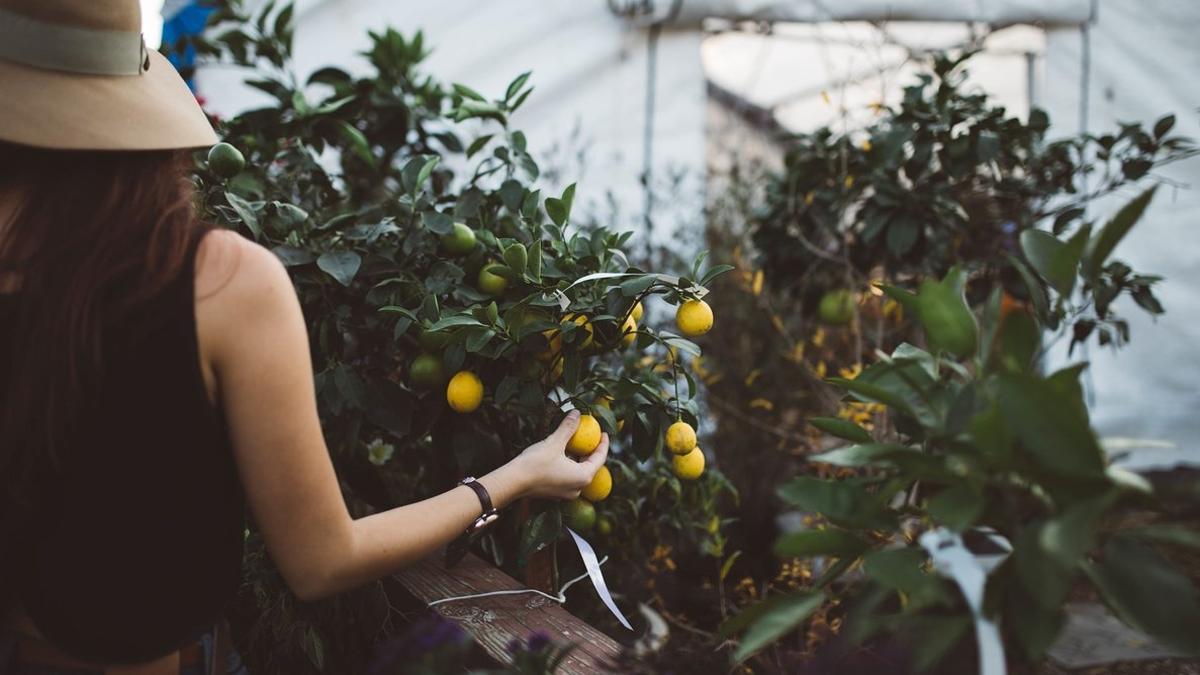 Empleo verde: cómo reconvertir a una persona para desempeñar un green job