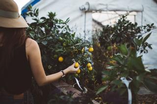 Empleo verde: cómo reconvertir a una persona para desempeñar un 'green job'