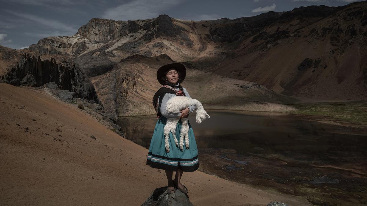 Alpaqueros / América del Sur. Stories