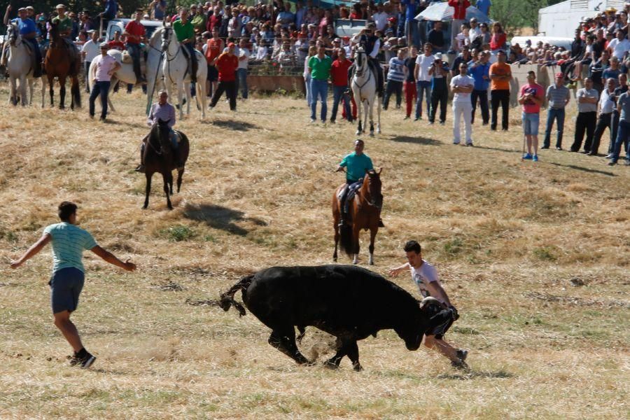 Encierro Guarrate