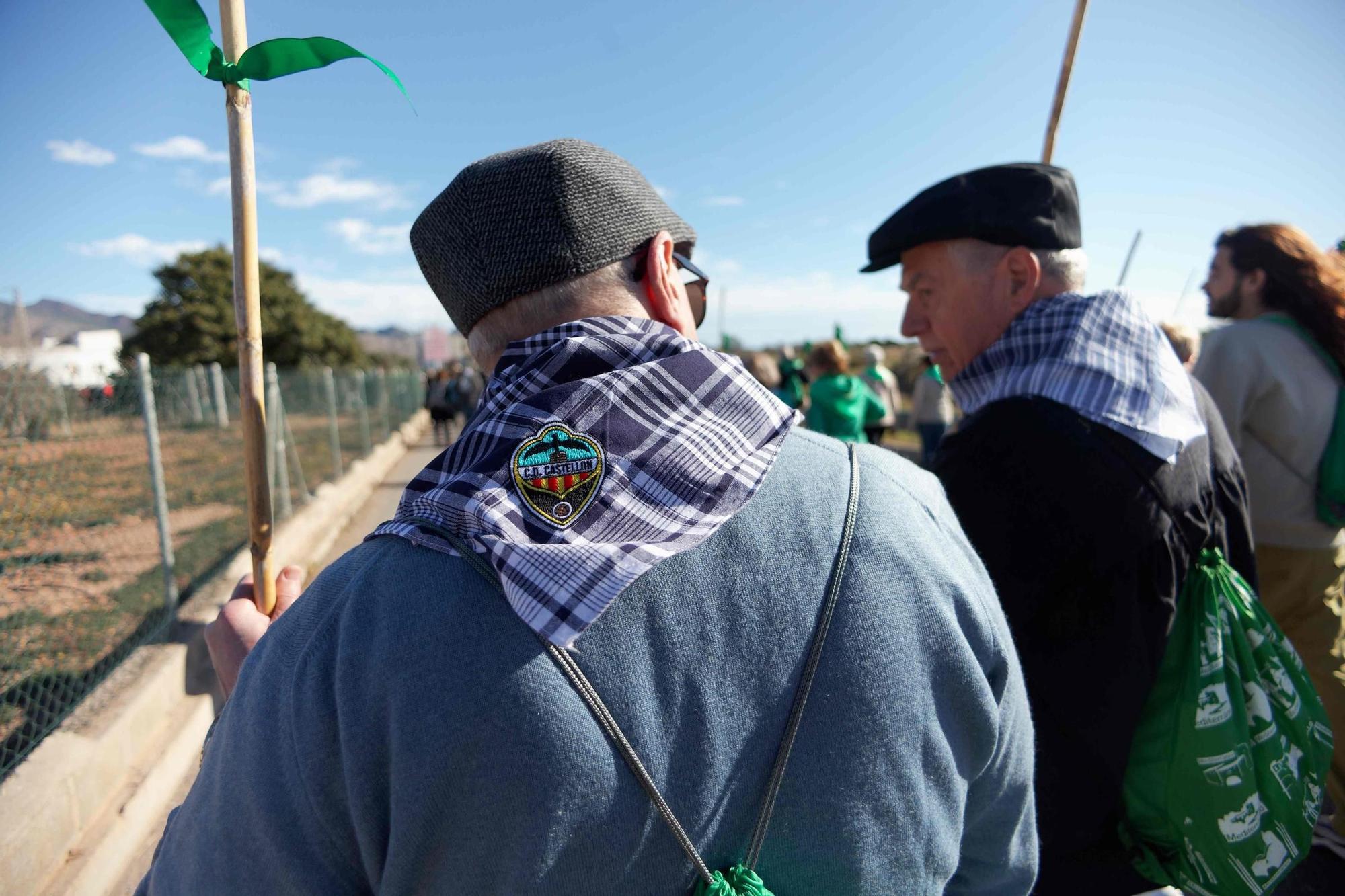 Los castellonenses rememoran sus orígenes con la Romeria