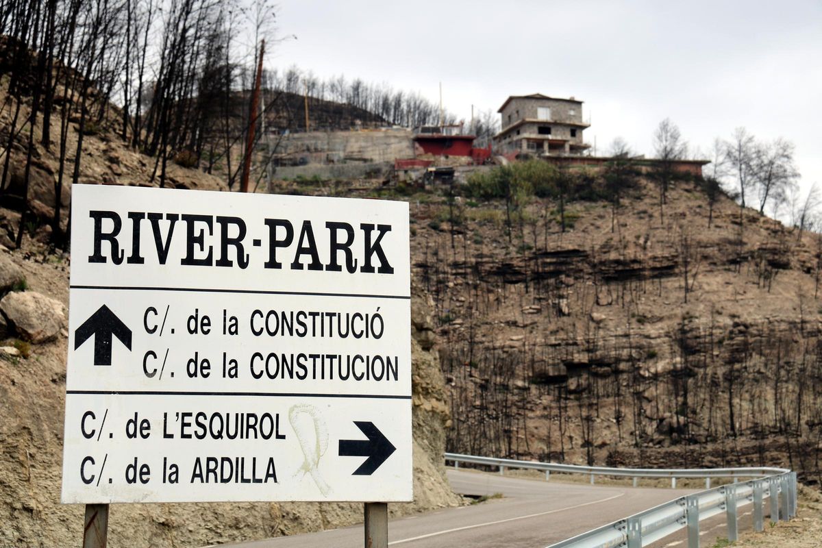 Arbres cremats a l'entorn de la carretera d'accés a la urbanització River Park