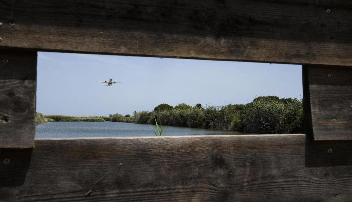 El 30% de la zona protegida de l’aeroport admetrà hivernacles