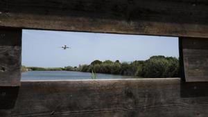 El 30% de la zona protegida de l’aeroport admetrà hivernacles