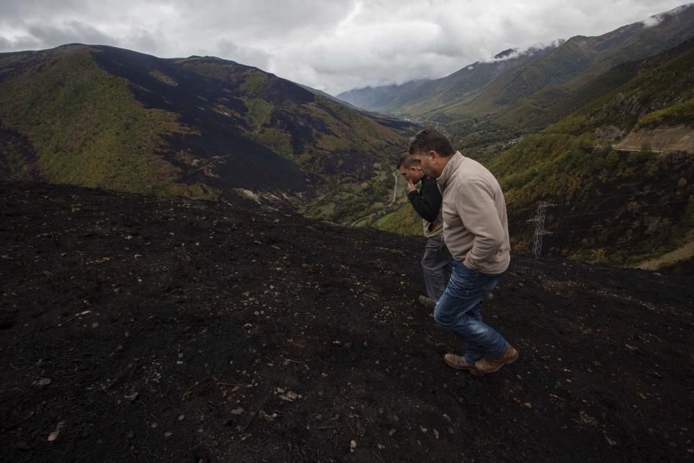 Desolación en el suroccidente asturiano tras los incendios